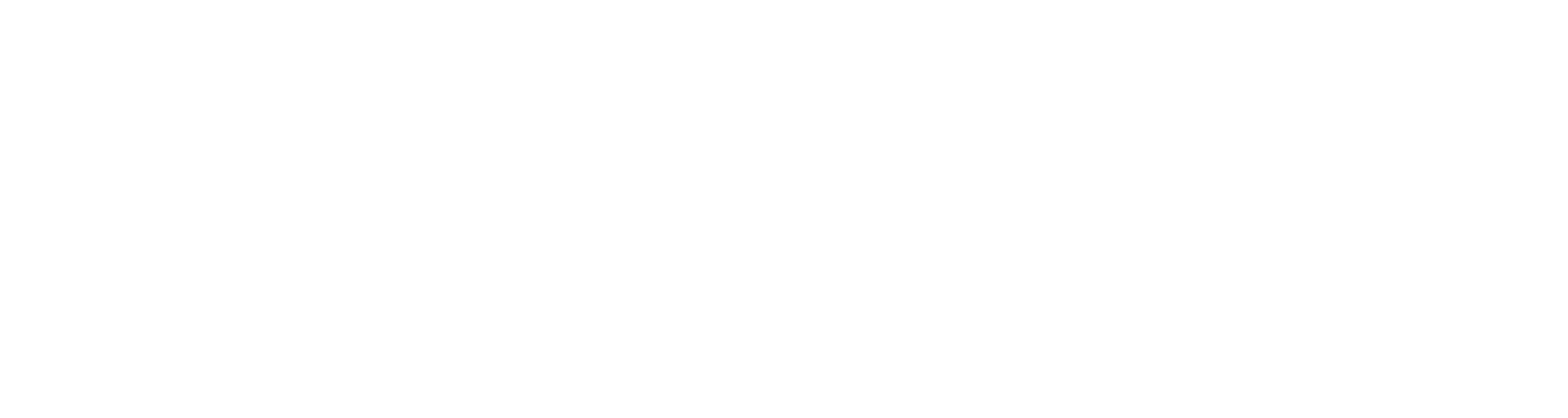 logo3-oral-max